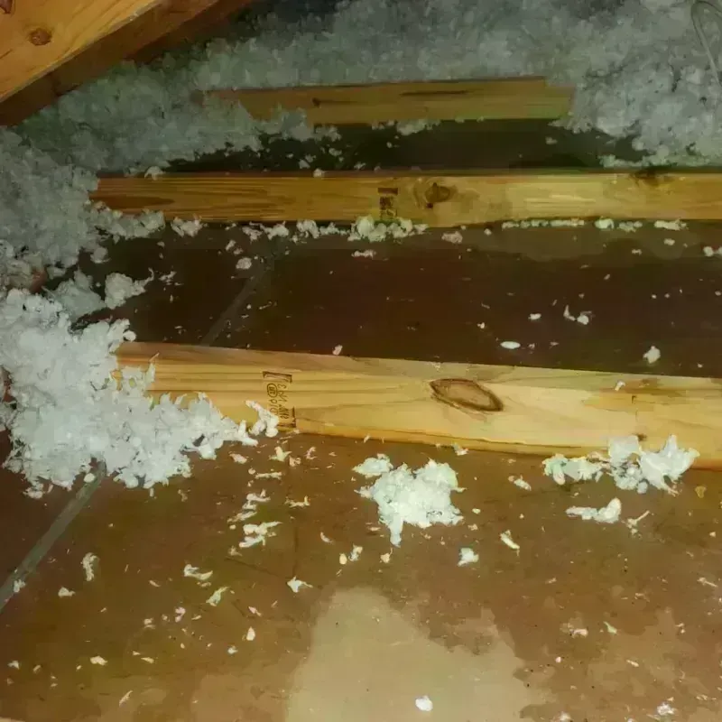 Attic Water Damage in Lubeck, WV